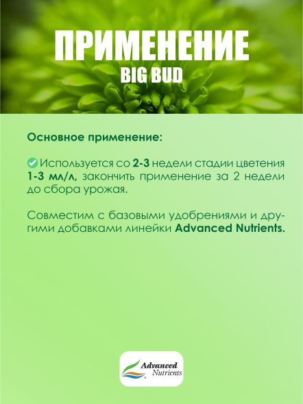 Big Bud Liquid 1 л | Advanced Nutrients