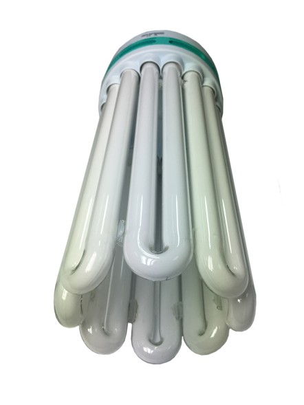 Лампа ЭСЛ Dual 250 Вт (2700К/6400К)