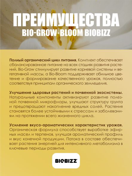 Комплект базовых удобрений BioBizz Grow+Bloom 2x0,5 л