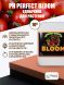 pH Perfect Bloom 10 л | Advanced Nutrients