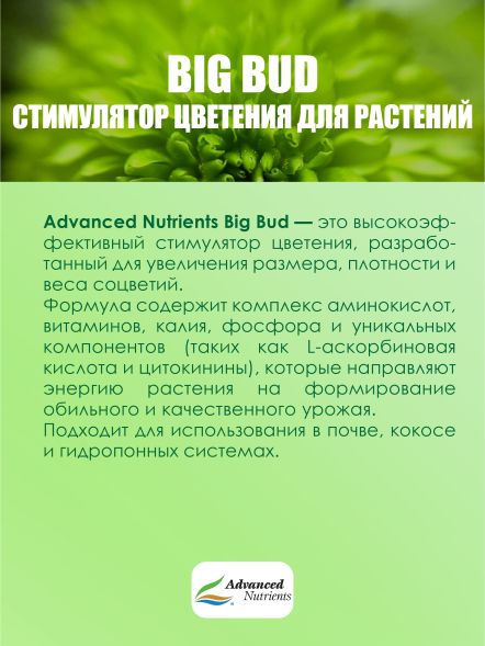 Big Bud Liquid 0,5 л | Advanced Nutrients