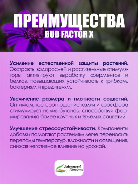 Bud Factor X 0,5 л | Advanced Nutrients