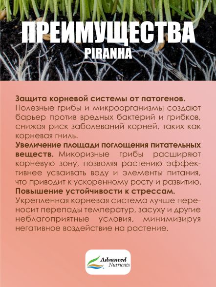 Стимулятор корней Piranha 100 мл | Advanced Nutrients