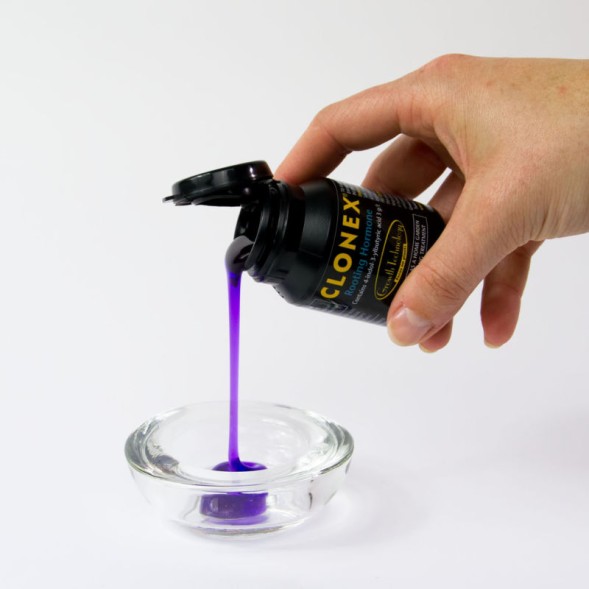 Гель для клонирования Clonex 50 мл
