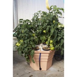 EcoGrower