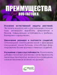 Стимулятор цветения Bud Factor X 100 мл | Advanced Nutrients