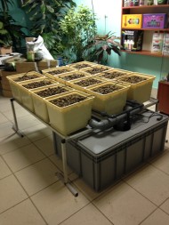 Гидропонная система Dutch Hydro Complex 1м2