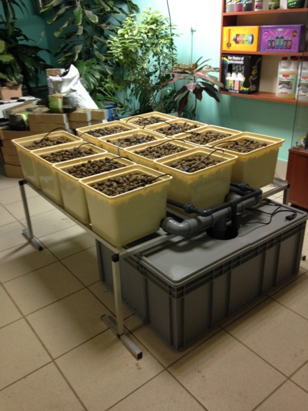 Гидропонная система Dutch Hydro Complex 1м2