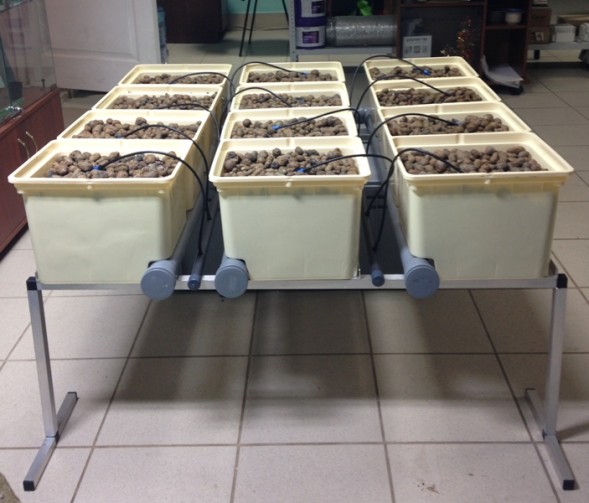 Гидропонная система Dutch Hydro Complex 1м2