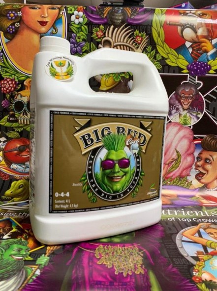 Big Bud Coco Liquid 4 л | Advanced Nutrients