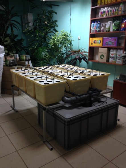 Система гидропоники Dutch Aero Complex 1м2