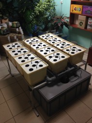 Система гидропоники Dutch Aero Complex 1м2