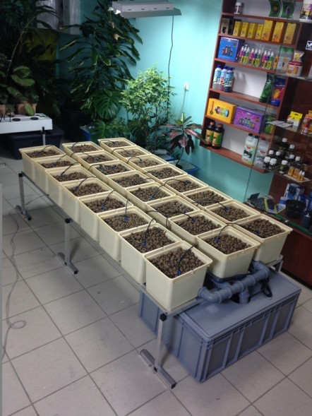 Гидропонная система Dutch Hydro Complex 2м2