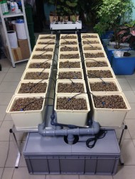 Гидропонная система Dutch Hydro Complex 2м2