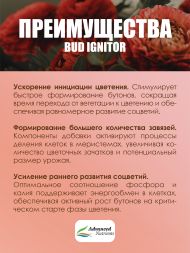 Bud Ignitor 5 л | Advanced Nutrients