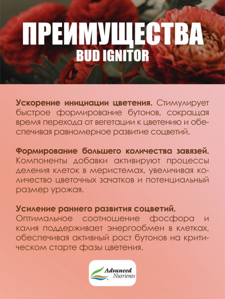 Bud Ignitor 5 л | Advanced Nutrients