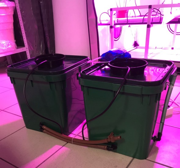 Гидропонная система Hypod DUO 