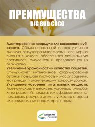 Big Bud Coco Liquid 0,5 л | Advanced Nutrients
