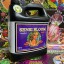 Sensi Bloom A+B 10 л | Advanced Nutrients