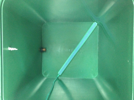 Гидропонная система Hypod Cube small