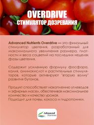 Overdrive 5 л | Advanced Nutrients