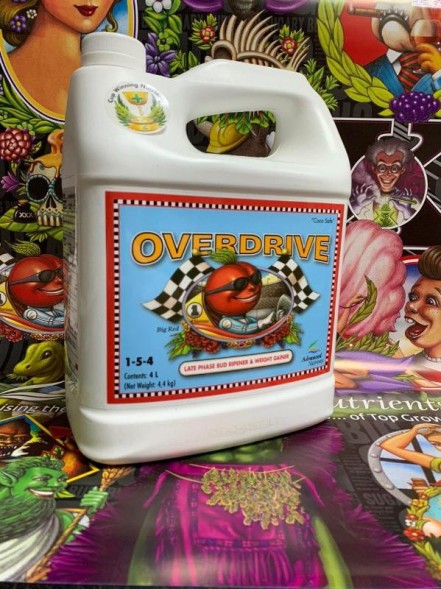 Overdrive 5 л | Advanced Nutrients