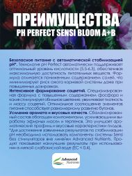Sensi Bloom A+B 5 л | Advanced Nutrients