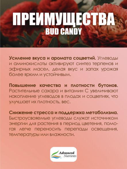 Bud Candy 0,5 л | Advanced Nutrients