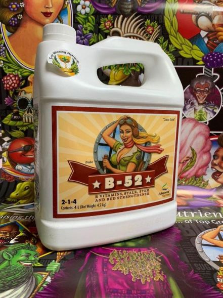 B-52 4 л | Advanced Nutrients