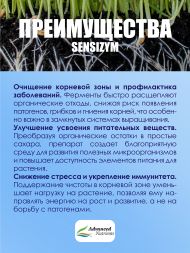 Добавка для растений Sensizym 100 мл / Advanced Nutrients