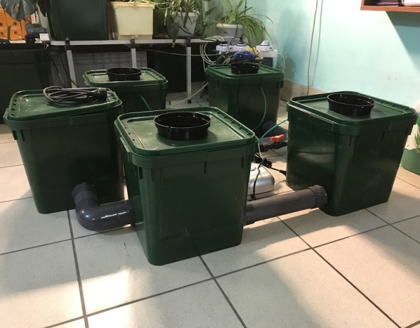Гидропонная система rdwc HydroPot 5-1