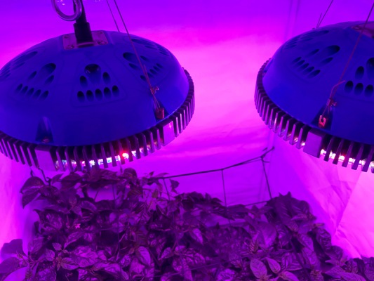 ufo led